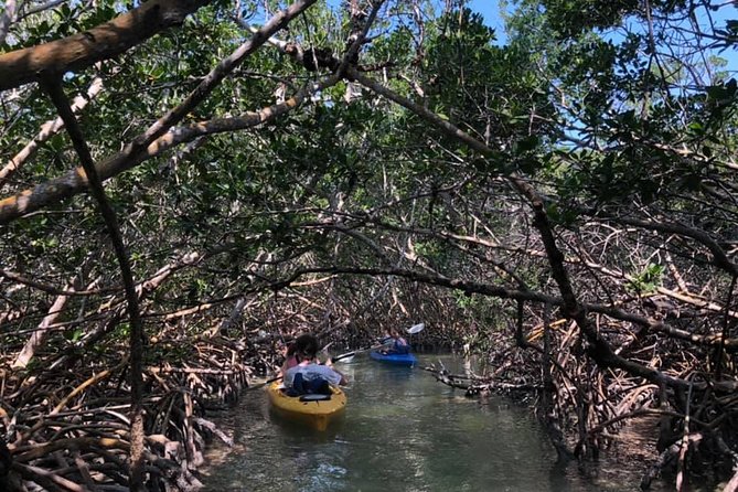 Key West Mangrove Kayak Eco Tour - What you should actually pack for a comfortable kayak in Key West