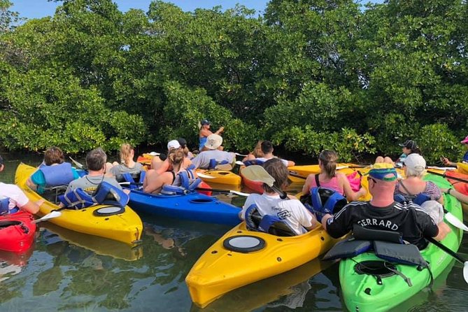 Key West Mangrove Kayak Eco Tour - Price and value: why $80 feels fair for what you get