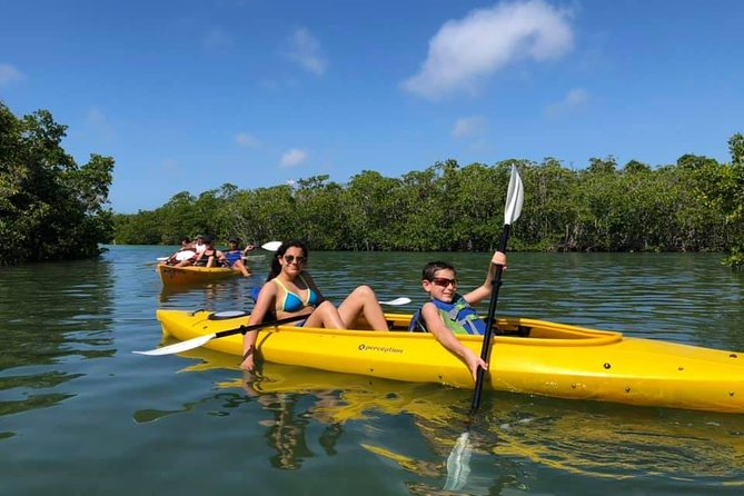 Key West Mangrove Kayak Eco Tour - Stop 1: Lazy Dog Adventures, where the setup matters more than you think
