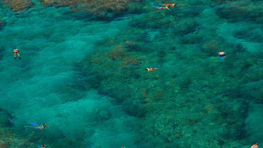 Key West: Reef Snorkeling with Drinks and Sunset Option - Why Fury’s Reef Snorkel Plus Drinks Works in Key West