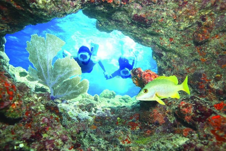 Key West: Reef Snorkeling with Drinks and Sunset Option - The Sunset Trip: Rum, Reggae, and Key West From Water Level