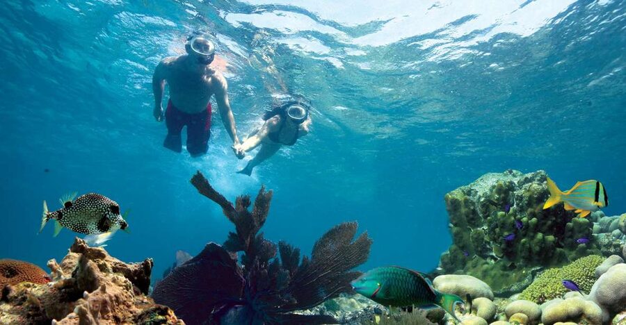 Key West: Reef Snorkeling with Drinks and Sunset Option - Getting There at Opal Key Marina: Where You Check In and Why Timing Matters