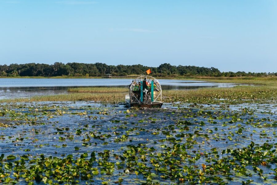 Kissimmee: Everglades Airboat Adventure Tour - From Shingle Creek waterways to the marsh edge, here is what your captain is doing