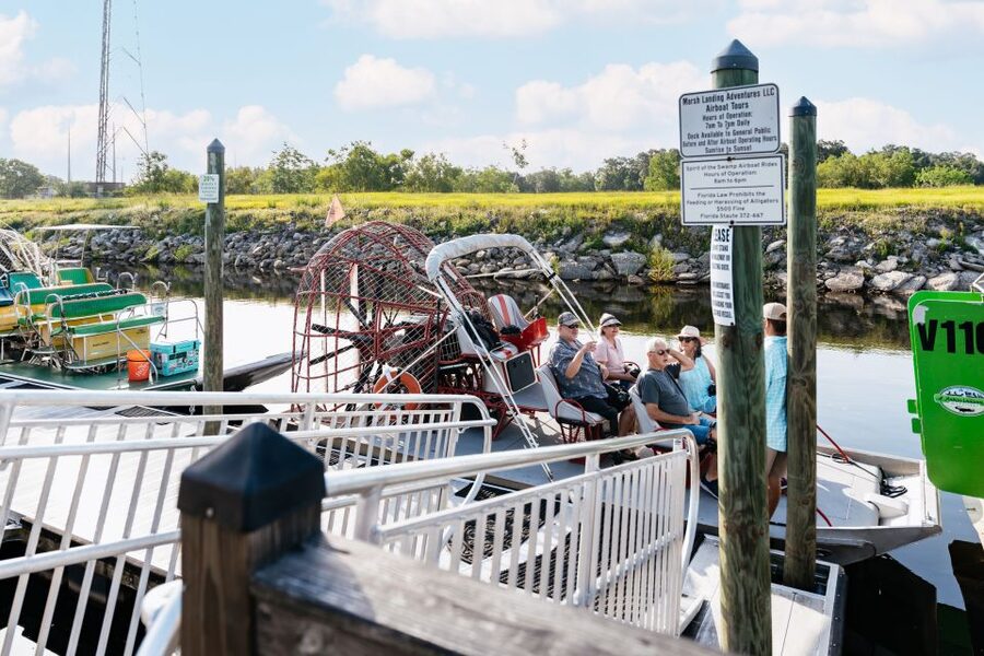 Kissimmee: Everglades Airboat Adventure Tour - Wildlife and plants: how to spot alligators without missing everything else