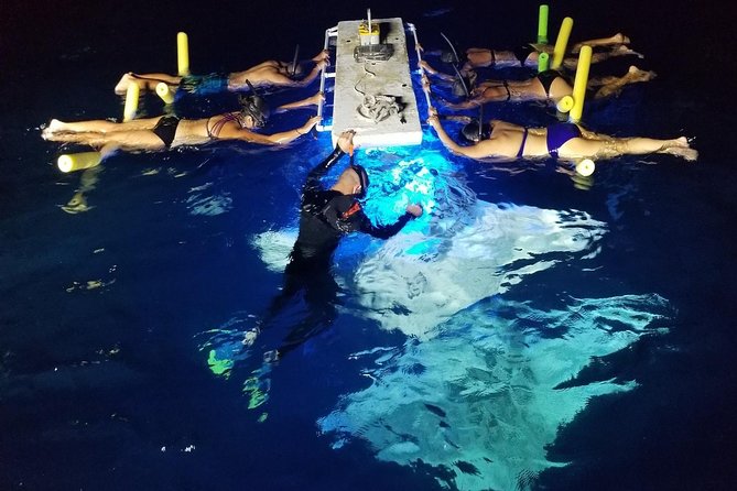 KONA Manta Ray Night Snorkel - FREE re-ride if no Sightings - Key things I’d pay attention to before you go