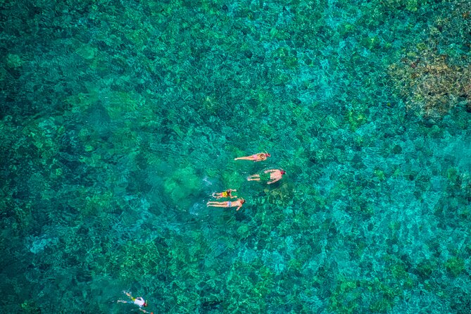 Kona’s Best Morning Snorkel: Captain Cook & Kealakekua Bay - Food onboard: plant-based breakfast and lunch, with one important reality check