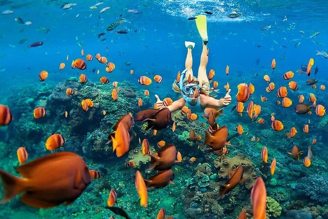 Kona Snorkel Tour: Captain Cook Reef Snorkel, Dolphin & Sea Caves - Zodiac RIB to Captain Cook Reef: what you’re really buying