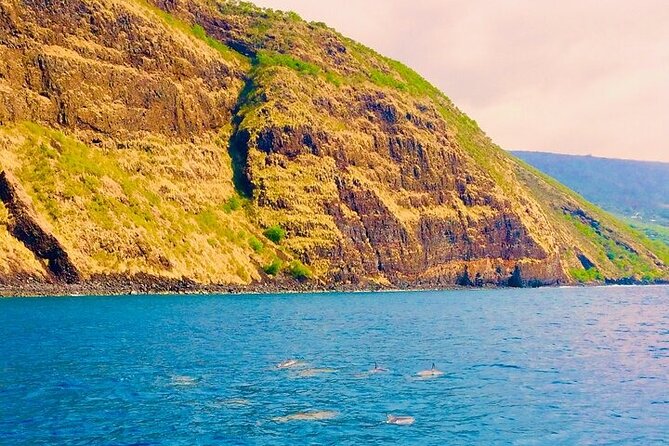 Kona Snorkel Tour: Captain Cook Reef Snorkel, Dolphin & Sea Caves - Captain Cook Monument and the stops that make the ride worth it