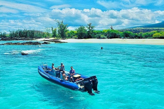 Kona Snorkel Tour: Captain Cook Reef Snorkel, Dolphin & Sea Caves - Marine life spotting: the fun bonus that you should not count on