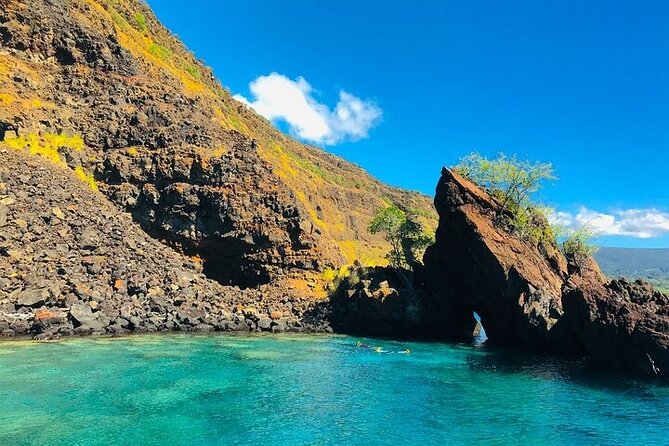 Kona Snorkel Tour: Captain Cook Reef Snorkel, Dolphin & Sea Caves - Price and value: is $71.10 worth it for your day?