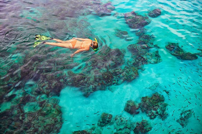 Kona Snorkel Tour: Captain Cook Reef Snorkel, Dolphin & Sea Caves - Safety and comfort notes to take seriously