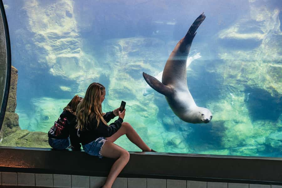 LA: Aquarium of the Pacific Skip-the-Line Entry - Skip-The-Line Entry Means You Actually Get a Full Day