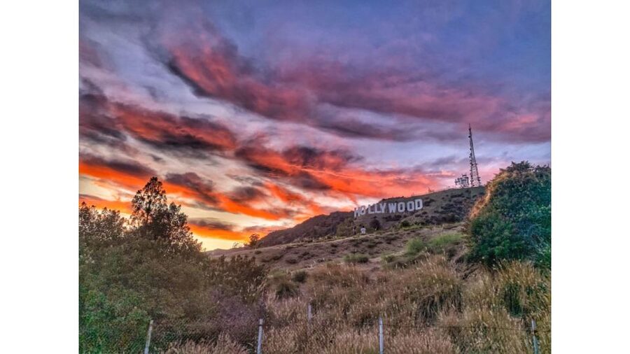 LA: Hollywood Sign Tour with Comedians, Dogs, & Epic Photos - Panoramic Stops Over Los Angeles, Burbank, and Toward the Pacific