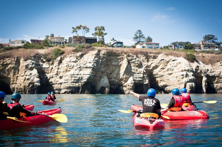 La Jolla: 2-Hour Kayak Tour of the 7 Caves - Wildlife You Can Actually Spot: Sea Lions, Garibaldi, Leopard Sharks, and Dolphins