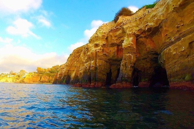 La Jolla Sea Caves Kayak Tour For Two (Tandem Kayak) - Key takeaways before you book