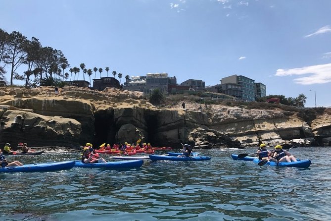 La Jolla Sea Caves Kayak Tour For Two (Tandem Kayak) - Sea Caves, Waves, and the No-Guarantee Reality