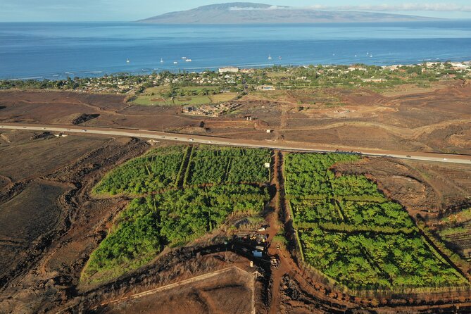 Lahaina: Maui Ku'ia Estate Guided Cacao Farm Tour and Tasting - The tasting: how a 9-piece lineup helps you read chocolate
