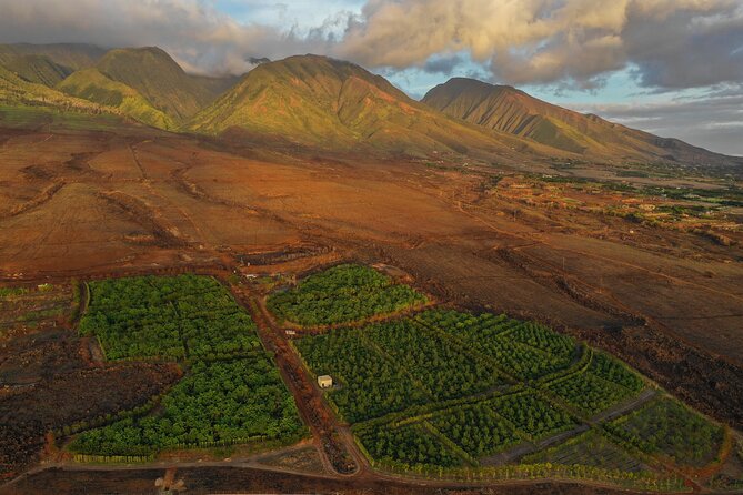 Lahaina: Maui Ku'ia Estate Guided Cacao Farm Tour and Tasting - The treehouse-style tasting stop, why the setting matters