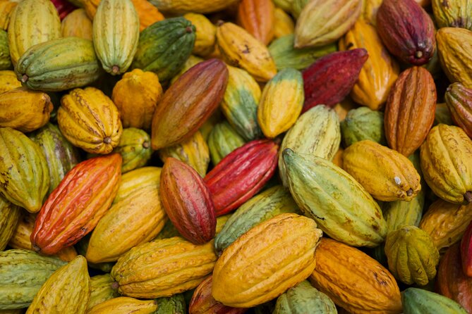 Lahaina: Maui Ku'ia Estate Guided Cacao Farm Tour and Tasting - Price and value check for $99.48 in Maui