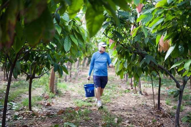 Lahaina: Maui Ku'ia Estate Guided Cacao Farm Tour and Tasting - Who should book this Kuia Estate cacao and chocolate tour