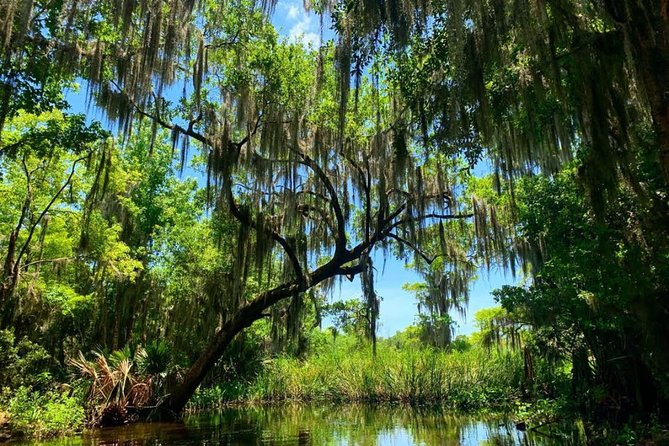 Large Airboat Swamp Tour with Transportation from New Orleans - Entering The Bayou at High Speed From New Orleans
