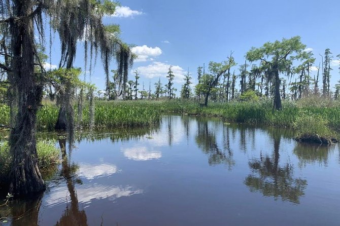 Large Airboat Swamp Tour with Transportation from New Orleans - The 2-Hour Airboat Ride: Speed, Safety, and Sightings