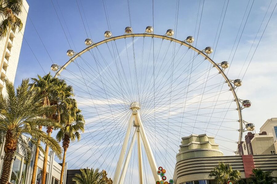 Las Vegas: FLY LINQ Zipline Ticket - Safety and Restrictions You Need to Take Seriously