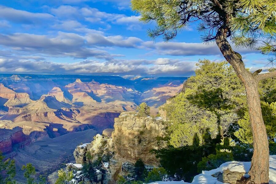 Las Vegas: Grand Canyon National Park South Rim Guided Tour - Who This Tour Suits Best (And Who Might Prefer Another Option)