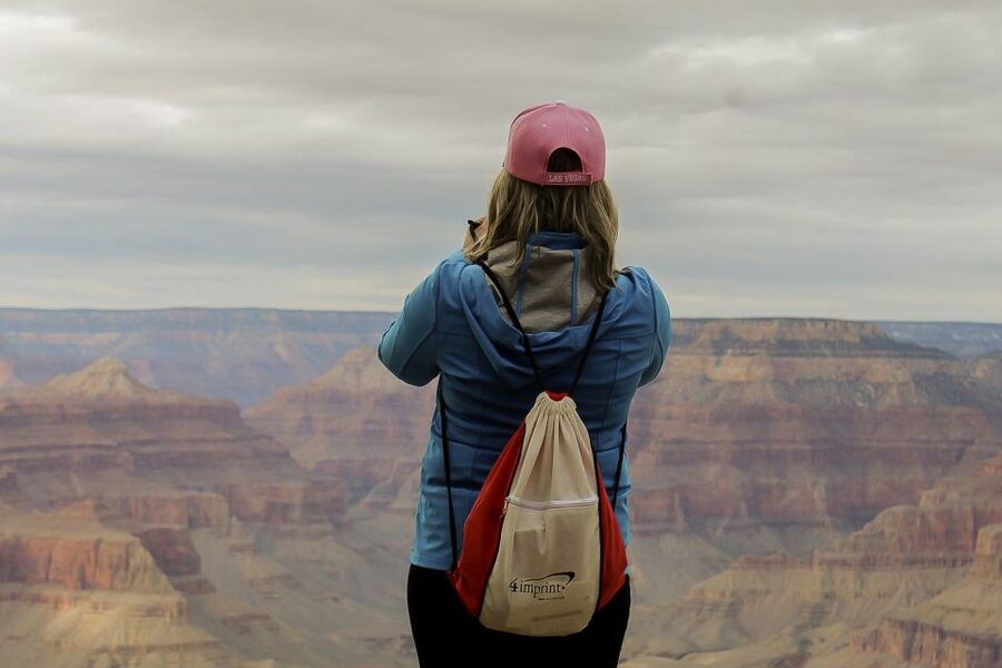 Las Vegas: Grand Canyon National Park South Rim Guided Tour - Bus Comfort and On-the-Road Food: What to Expect for Meals