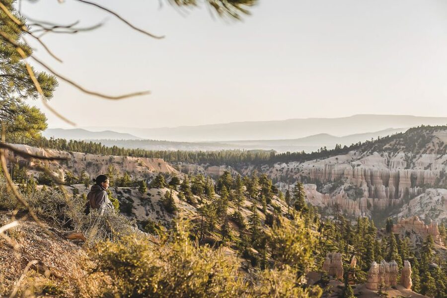 Las Vegas: Grand Canyon National Park South Rim Guided Tour - The Price Reality Check: Is $150 Good Value