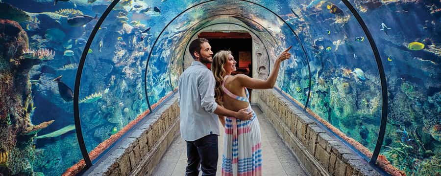 Las Vegas: Shark Reef Aquarium Entry Ticket - Key highlights you should know before you go