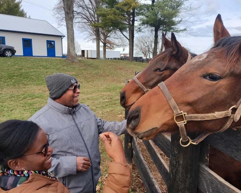 Lexington: Thoroughbred Horse Farm Tour and Scenic Bluegrass - If This Is Your First Time in Lexington Horse Country, Here’s the Winning Plan