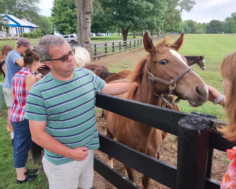 Lexington: Thoroughbred Horse Farm Tour and Scenic Bluegrass - The 3.5-Hour Van Flow, Two Sessions, and What That Means for Your Day