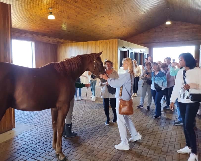 Lexington: Thoroughbred Horse Farm Tour and Scenic Bluegrass - Keeneland Stop: Track Views and Movie Filming Locations When Available