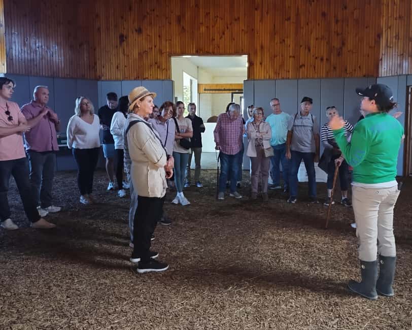 Lexington: Thoroughbred Horse Farm Tour and Scenic Bluegrass - Who Should Book This Tour, and Who Might Want to Skip It