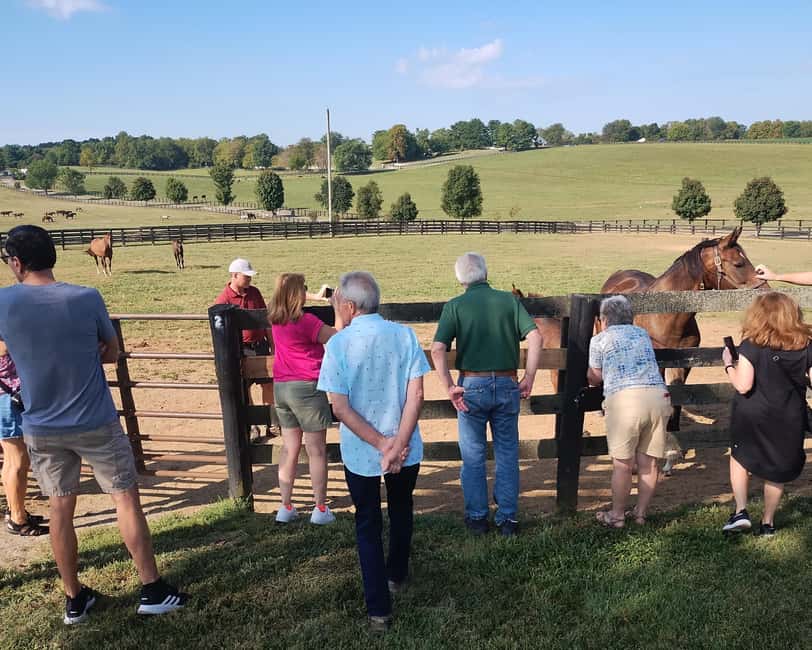 Lexington: Thoroughbred Horse Farm Tour and Scenic Bluegrass - Start at the Thoroughbred Heritage Visitors Center (366 Waller Ave)