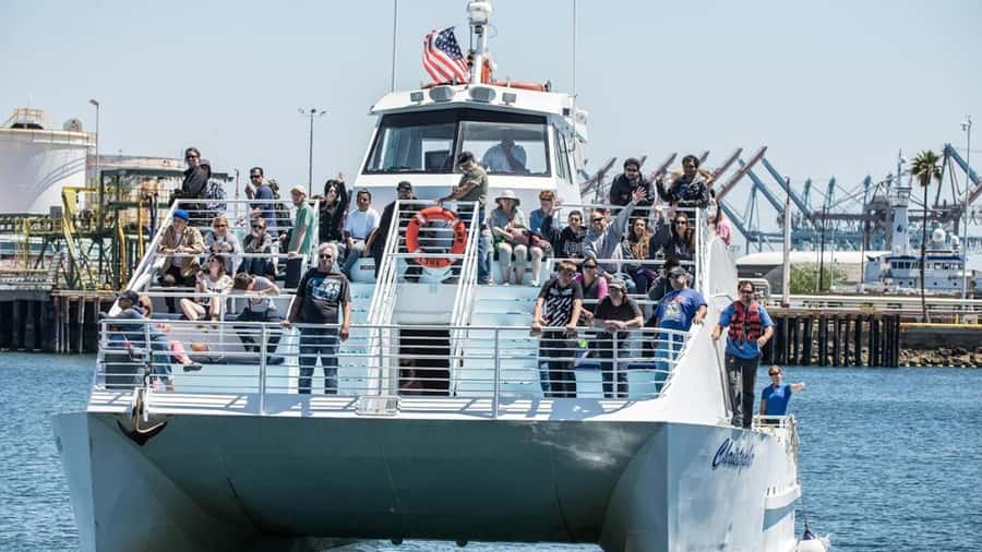 Long Beach: Whale and Dolphin Watching Cruise - Price, value, and what’s included for $45 per person
