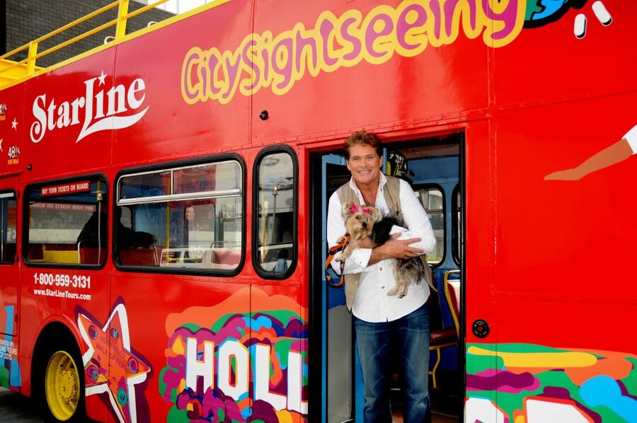 Los Angeles: City Sightseeing Hop-On Hop-Off with 4 Routes - Downtown LA on the Purple Route: The Broad and Disney Concert Hall without the stress