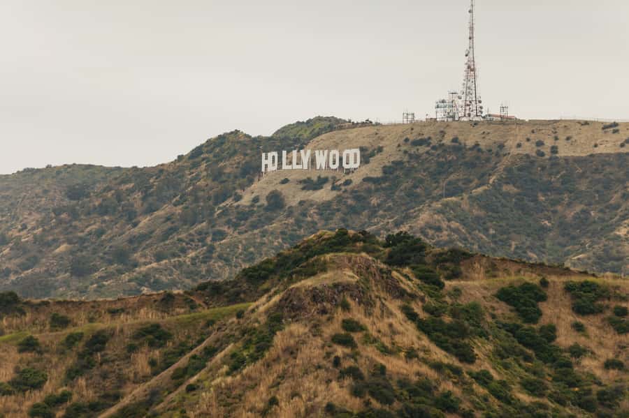 Los Angeles: Half-Day Best of LA Sightseeing Tour - The Hollywood Sign and why the timing feels different on a tour