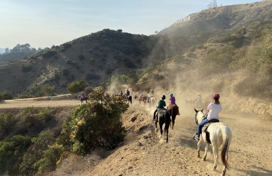 Los Angeles: Mulholland Trail Horseback Riding Tour - Key Points Before You Saddle Up