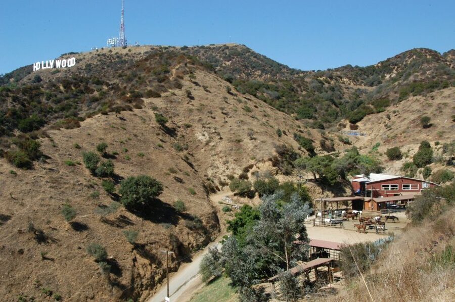 Los Angeles: Mulholland Trail Horseback Riding Tour - The Pre-Ride Setup: Helmet, Rules, and What You Will Do First