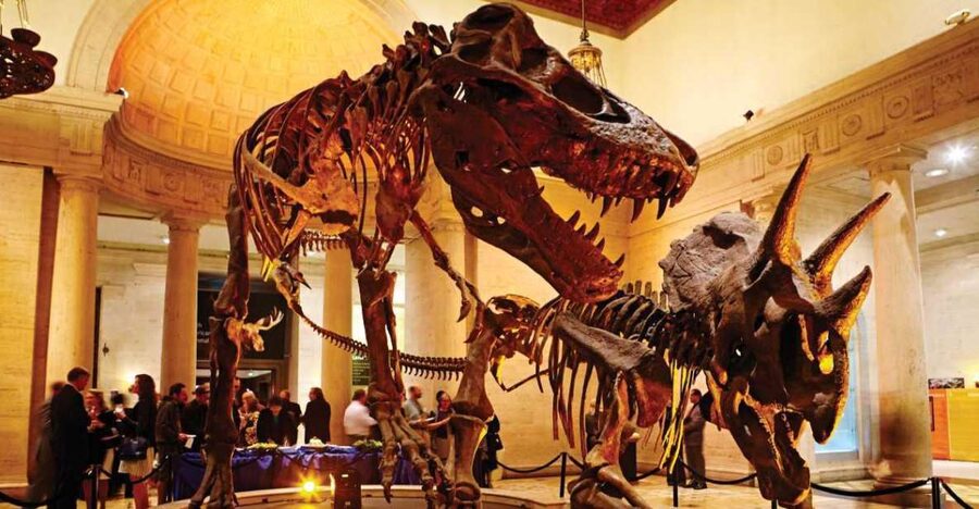 Los Angeles: Natural History Museum of LA Entry Ticket - Key reasons this museum ticket works well
