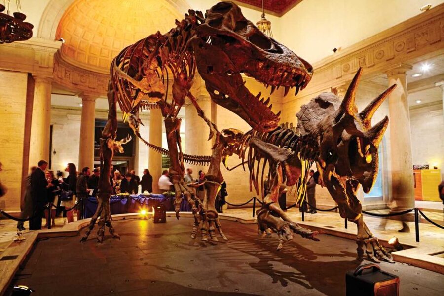 Los Angeles: Natural History Museum of LA Entry Ticket - Dinosaur Hall and the Tyrannosaurus rex growth series