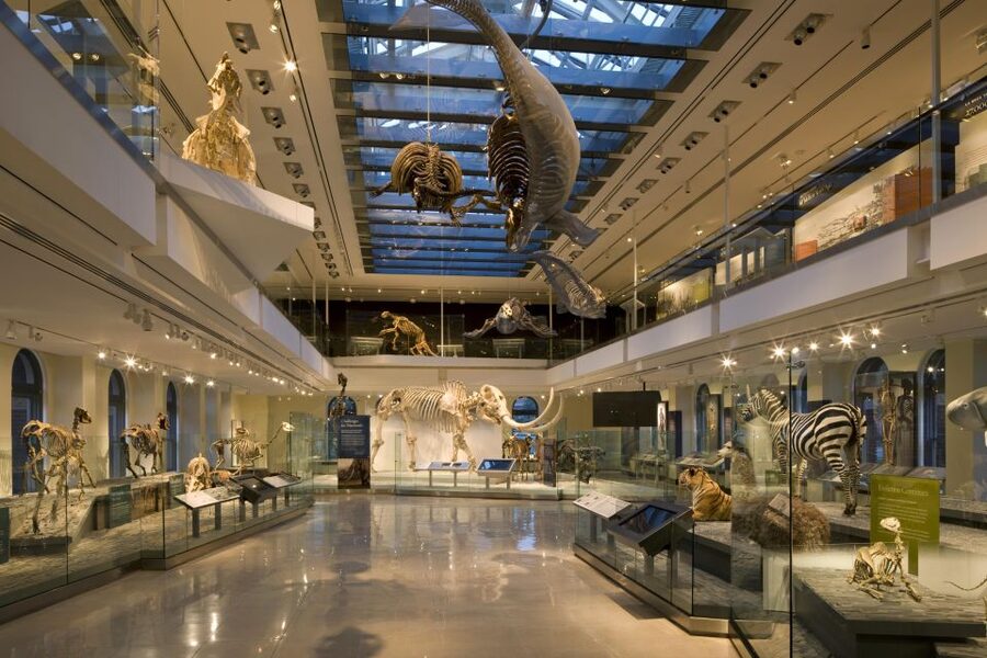 Los Angeles: Natural History Museum of LA Entry Ticket - Gem and Mineral Hall: 2,000 specimens and the diamond vault