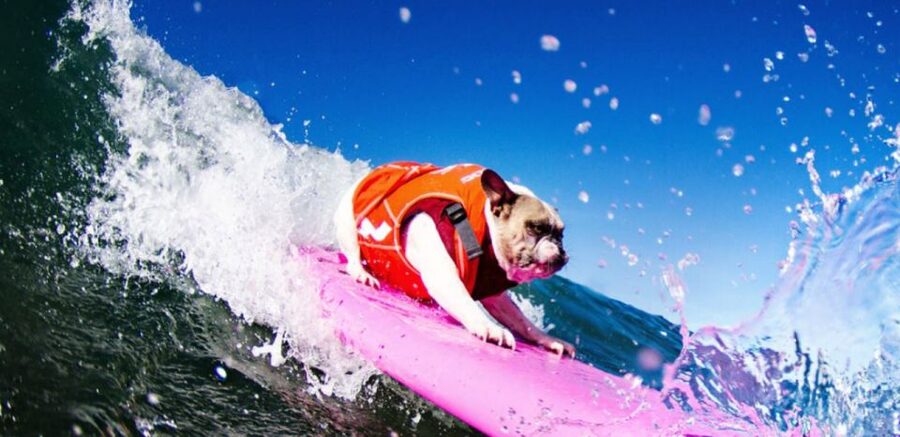 Los Angeles: Surfing Lesson in Venice Beach - Getting to 20 Bicknell Ave and finding your ride