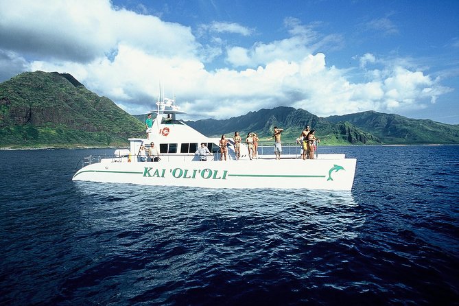 Luxury Snorkel Cruise, Local Buffet with Whale & Dolphin Watch - Price and What You’re Actually Paying For