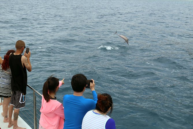Luxury Snorkel Cruise, Local Buffet with Whale & Dolphin Watch - The Snorkel Stop: Gear, Safety, and a Serious Hour in the Water