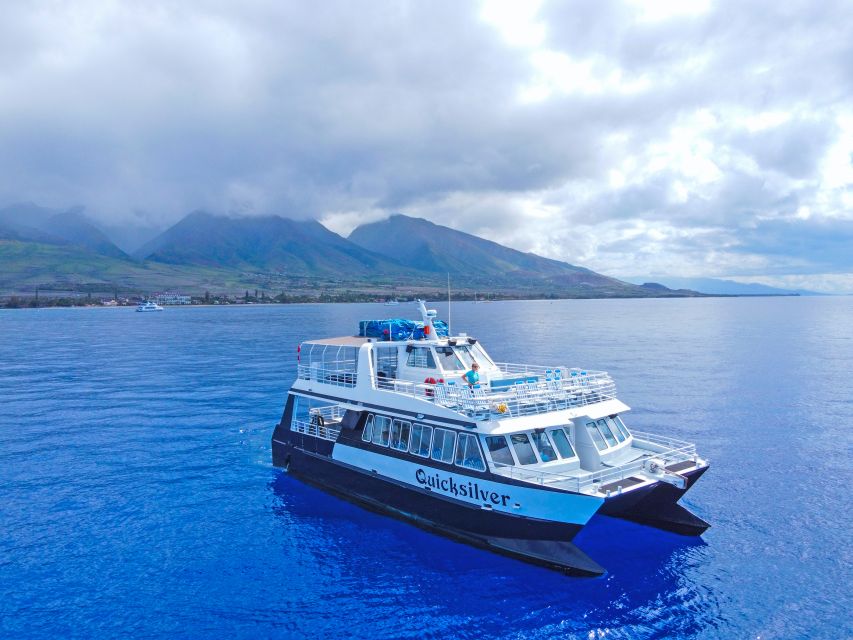 Ma'alaea Harbor: Whale Watching Tour Aboard Power Catamaran - Why Maalaea Harbor whale watching hits different in winter