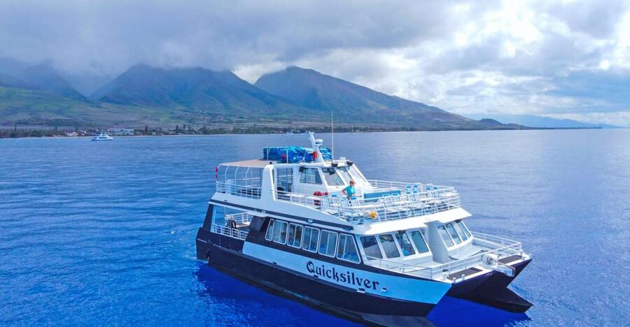 Ma'alaea Harbor: Whale Watching Tour Aboard Power Catamaran - The 2-hour flow: what happens on the water