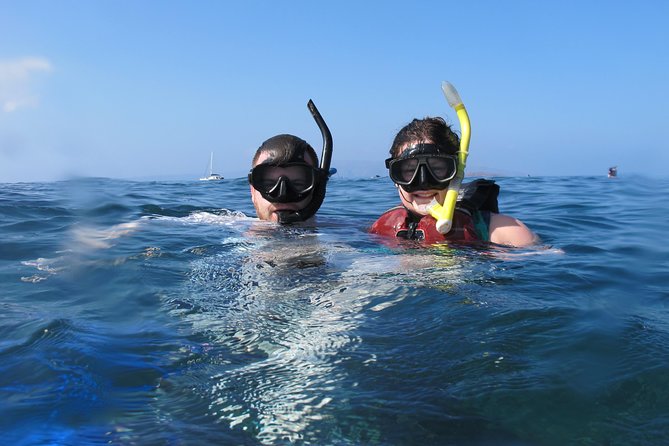 Makena Turtle Town Eco Adventure in Maui - Group size, value, and whether the price feels fair